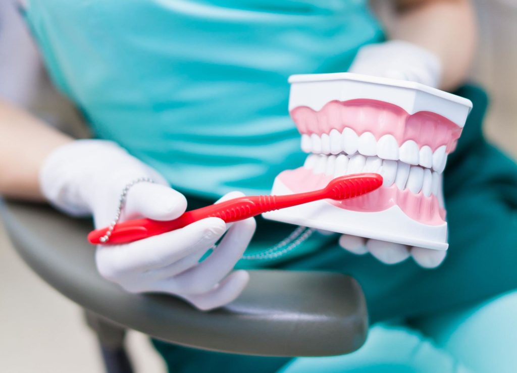 Showing how to brush teeth with a mold of a mouth